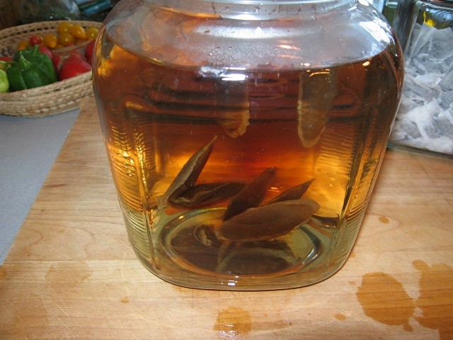 Чай от гъба комбуча рецепта