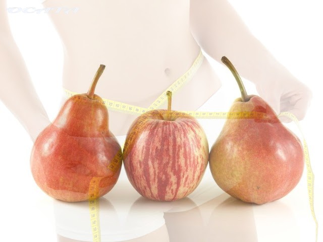 Формата на тялото определя продължителността на живота