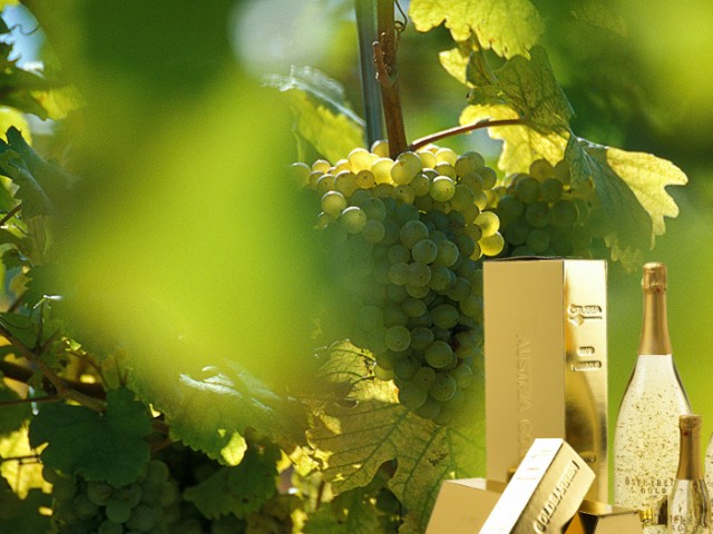 Österreich Gold е бленд Грюнер Велтлинер и Велшризлинг с добавени златни частици с чистота от 23 карата