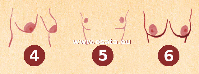 Формата на гърдите и характера на жената - 2