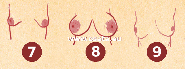 Формата на гърдите и характера на жената - 3
