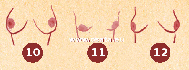 Формата на гърдите и характера на жената - 4