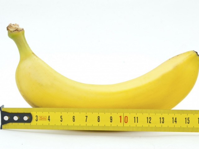 Размер на пениса при мъжете